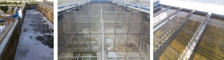 Municipal Wastewater Treatment